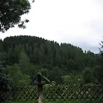 Haus Vogelsang Πανσιόν