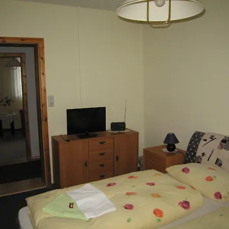 Haus Vogelsang Guest house 3*