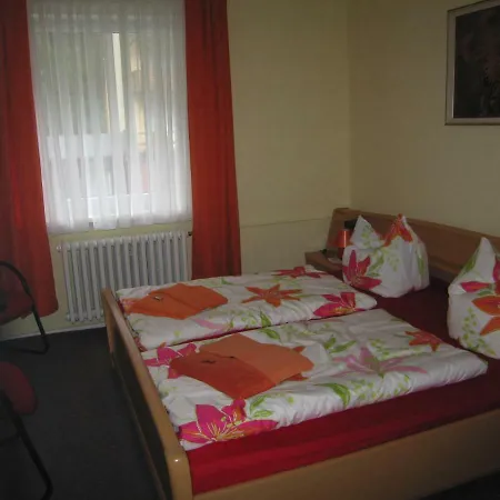 Haus Vogelsang Guest house Wildemann