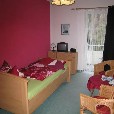 Haus Vogelsang 3* Wildemann