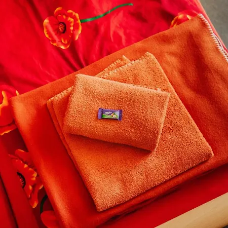 Haus Vogelsang Guest house Wildemann