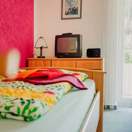 Guest house Haus Vogelsang 3*