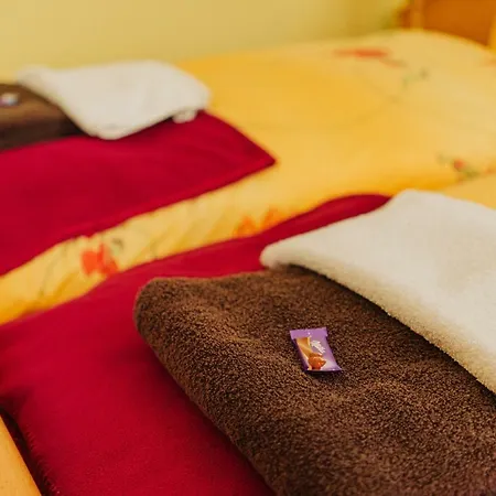 Haus Vogelsang Guest house 3*