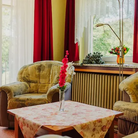 Haus Vogelsang Guest house 3*