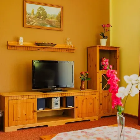 Haus Vogelsang Guest house