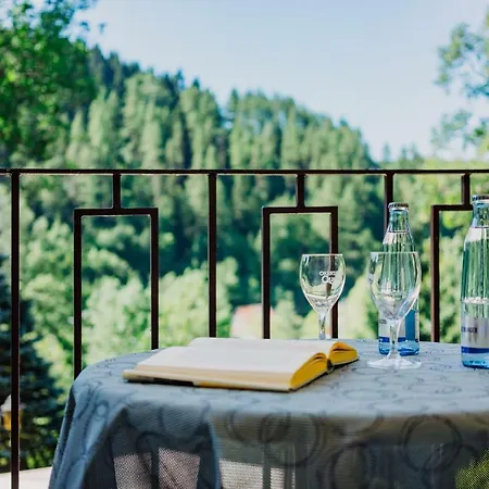 Guest house Haus Vogelsang Wildemann