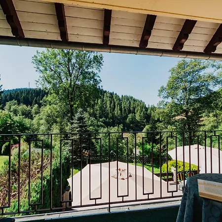 Haus Vogelsang Wildemann