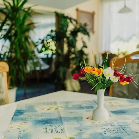 Haus Vogelsang Guest house 3*