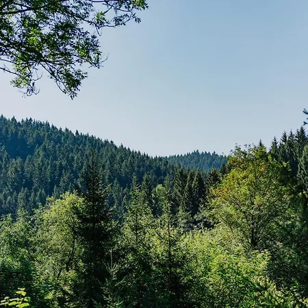 Haus Vogelsang Gæstehus Wildemann