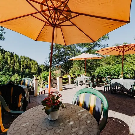 Haus Vogelsang Guest house