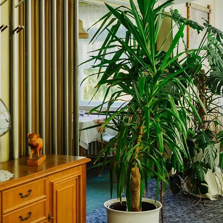 Haus Vogelsang 3* Wildemann