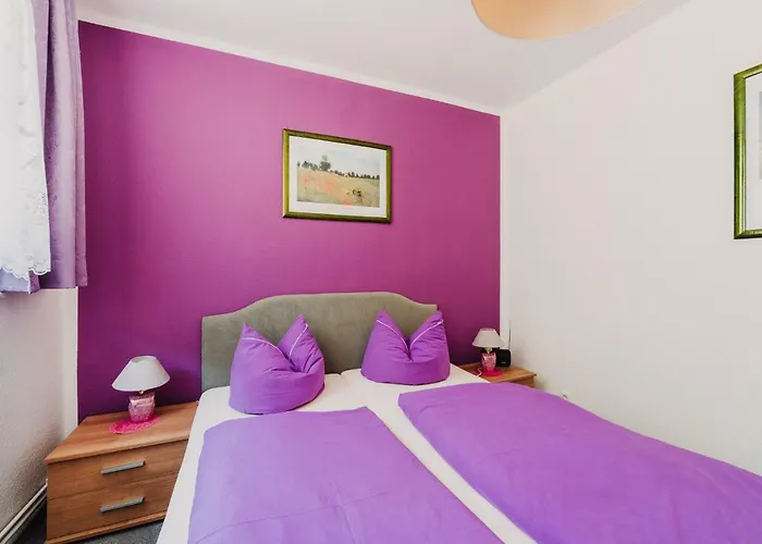 Haus Vogelsang Wildemann