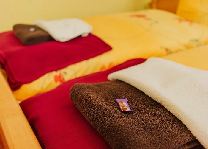 Haus Vogelsang Πανσιόν 3*