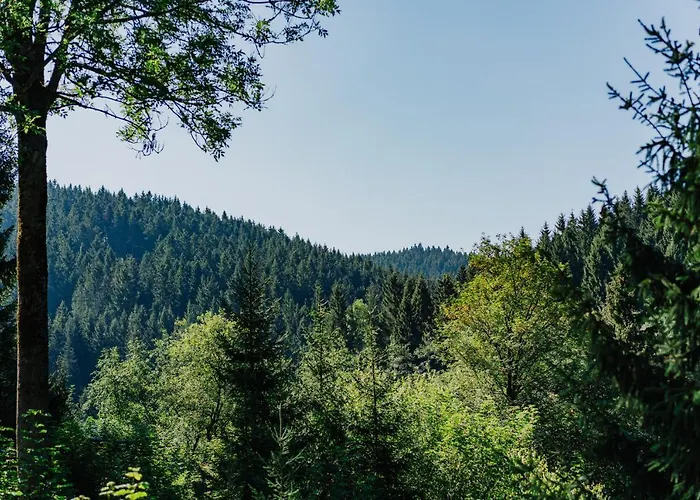 Haus Vogelsang Πανσιόν Wildemann