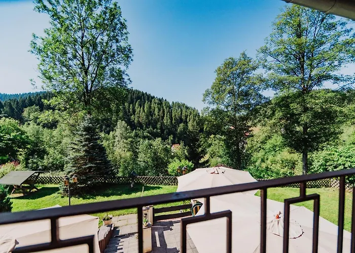 Πανσιόν Haus Vogelsang Wildemann