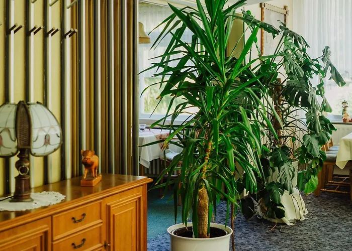 Haus Vogelsang 3* Wildemann